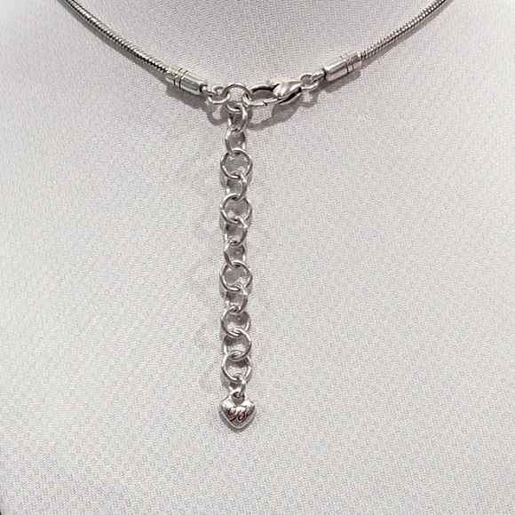 RETIRED BRIGHTON LUCITE TORTOISE 🐢 SHELL PENDENT NECKLACE - Picture 5 of 5